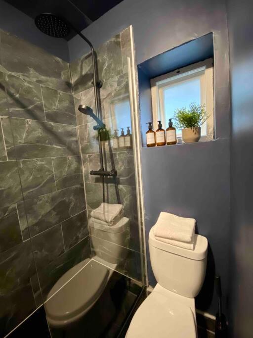 Stylish Studio For 3 Near Regents Park N4 Londra Exterior foto